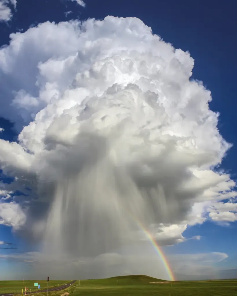 Understanding How Weather Affects Your Cavalier King Charles Spaniel's Well-being