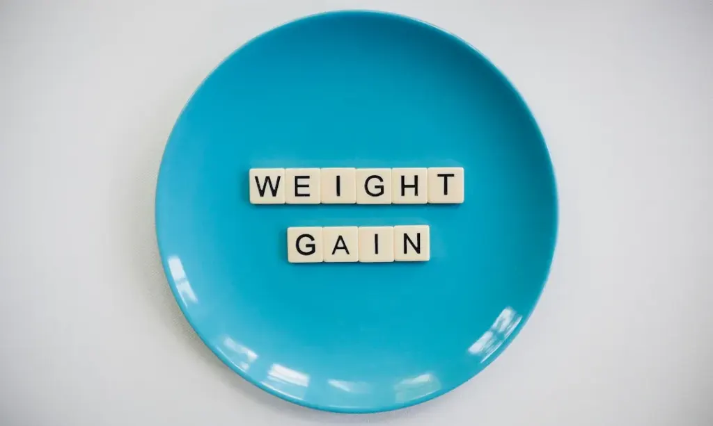Combatting Cavalier King Charles Spaniel Weight Woes: A Family Guide