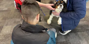 Family-friendly human and Cavalier King Charles Spaniel interaction