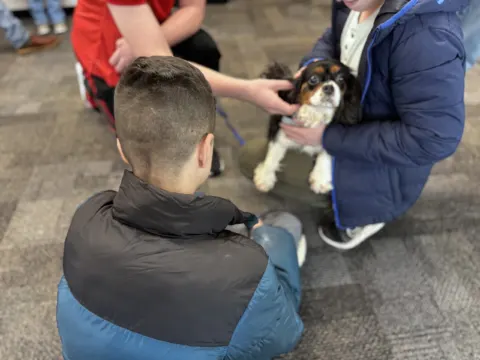 therapy dog visiting school