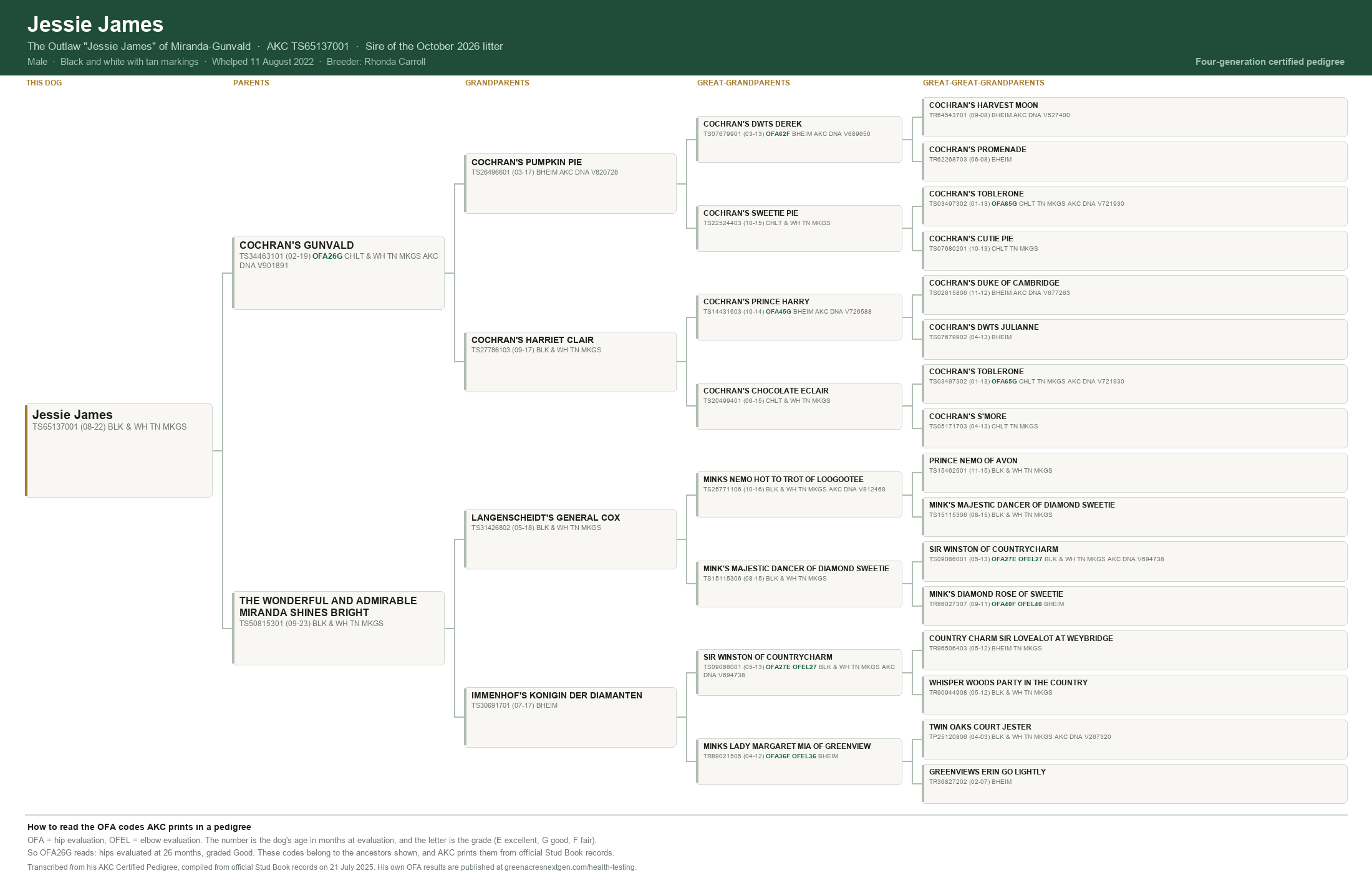 Four-generation pedigree for The Outlaw Jessie James of Miranda-Gunvald, AKC TS65137001, transcribed from his AKC Certified Pedigree: 30 ancestors with registration numbers, including his sire Cochran's Gunvald with OFA hips Good at 26 months.