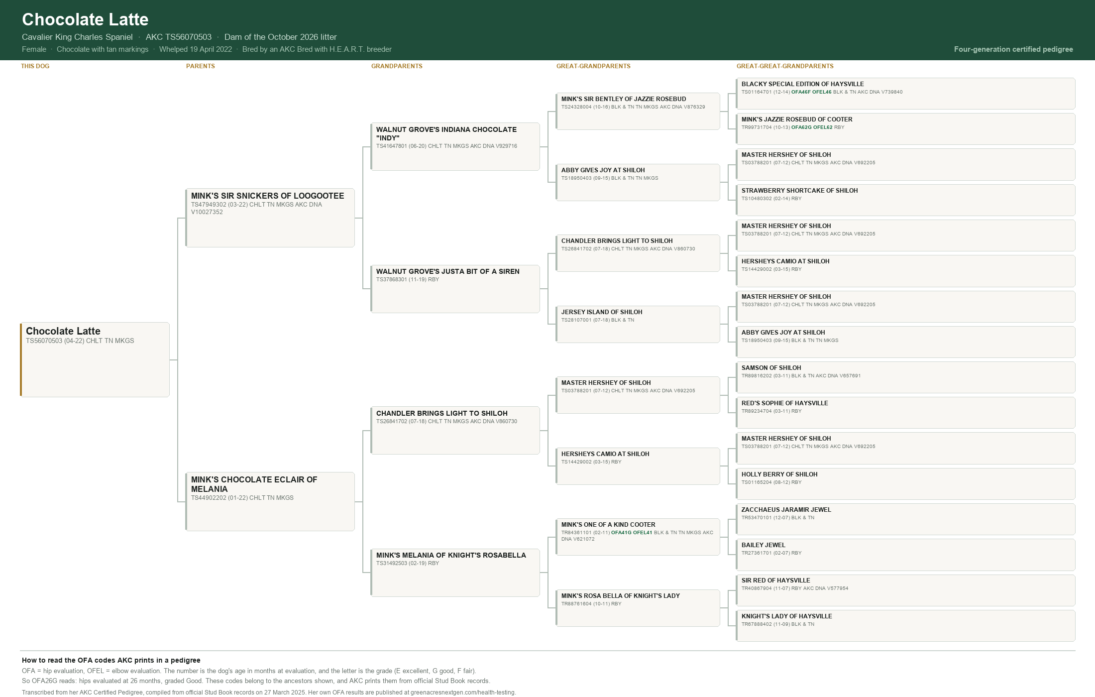 Four-generation pedigree for Chocolate Latte, AKC TS56070503, transcribed from her AKC Certified Pedigree: 30 ancestors with registration numbers, and the OFA hip and elbow codes AKC prints for those ancestors that carry them.